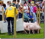 DSC00635 (1400x1157)