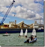 DSC00824 (1400x1396)