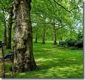 DSC00900 (1400x1300)