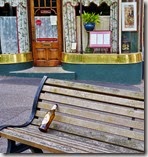 DSC00987 (1334x1400)