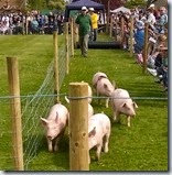 IMG_20150504_151831 (838x838)