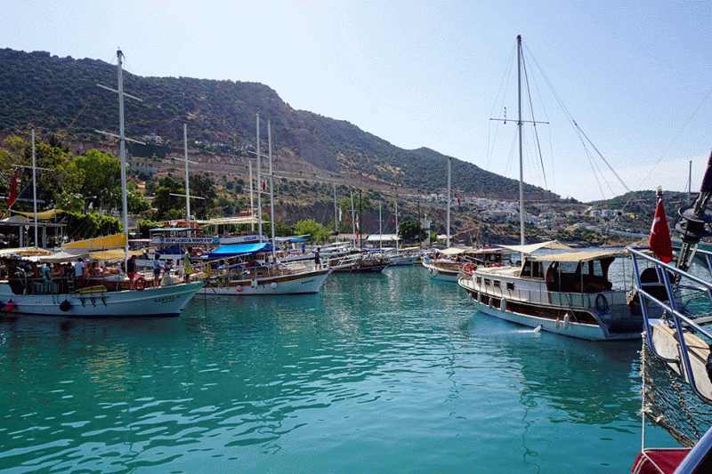 DSC03798 (1400x933)-ANIMATION DSC03798 (1400x933)-ANIMATION