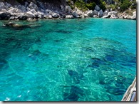 DSC03928 (1400x933) DSC03928 (1400x933)