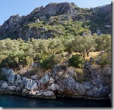 DSC03962 (1400x1316) DSC03962 (1400x1316)