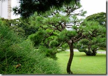 DSC05139 (1400x933) DSC05139 (1400x933)