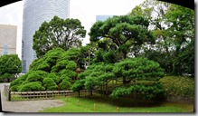 DSC05145 Stitch (1400x758) DSC05145 Stitch (1400x758)