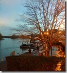 IMG_2016_ (51) IMG_2016_ (51)